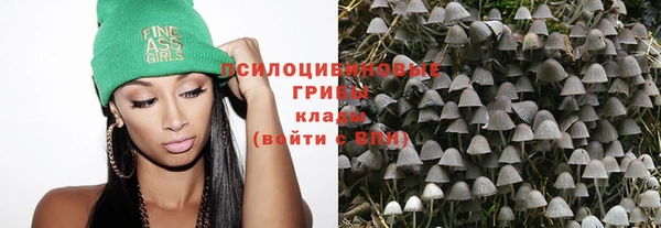 каннабис Новозыбков